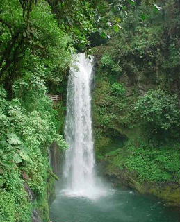 One of five waterfalls in tropical rain forest found at La Paz waterfall gardens, Costa Rica