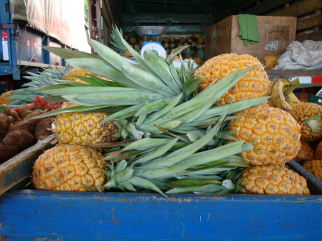 Stacked pineapple for sale at outdoor farmer's market in Grecia, Costa Rica