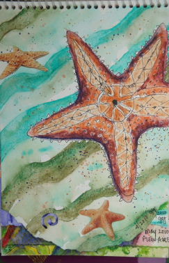 Quick painting of starfish by Jan Yatsko in Bocas de Toro, Panama.  Jan stood in the ocean while another person held starfish just below surface of water.