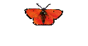 About Costa Rica