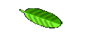 Pura Vida Costa Rica